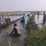 Suherman, Apresiasi Giat Karang Taruna (Katar) Dalam Membantu Petani. Katar Bereaksi, Membuat Irigasi