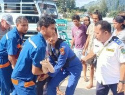 Baru berlayar 3 Mil Seorang Penumpang KMP Ihan Batak Tewas Terjun ke Danau Toba
