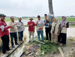 Pemkab Bekasi Telah Menyalurkan Bantuan Benih dari Kementan Secara Bertahap