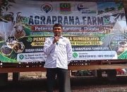 BUMDes SumberJaya Launching Program Ketapang Lewat Peternakan Kambing. Ketua BOD : Baru Kali Ini Saya Melihatnya Dengan Nyata